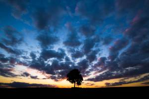 Clouds landscape Nature Sunset Tree Wisconsin