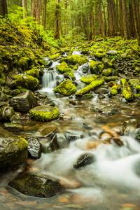 forest green long exposure Nature Olympic National Park Sol Duc Falls Washington Waterfall