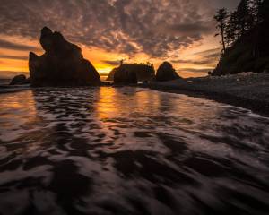 Beach Clouds Coast Fire Golden Hour Hiking La Push Olympic National Park Pacific Ocean reflection Ruby Beach Sea Stacks Silhouette Sunset Trees Washington Waves