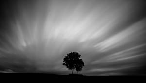 black and white Cloud landscape Madison Nature Sunset Tree Wisconsin